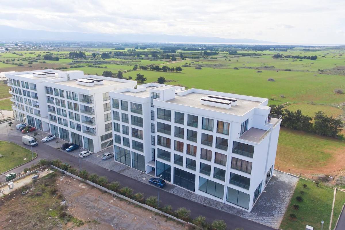 1 Room Commercial Property Lemon-F0-2