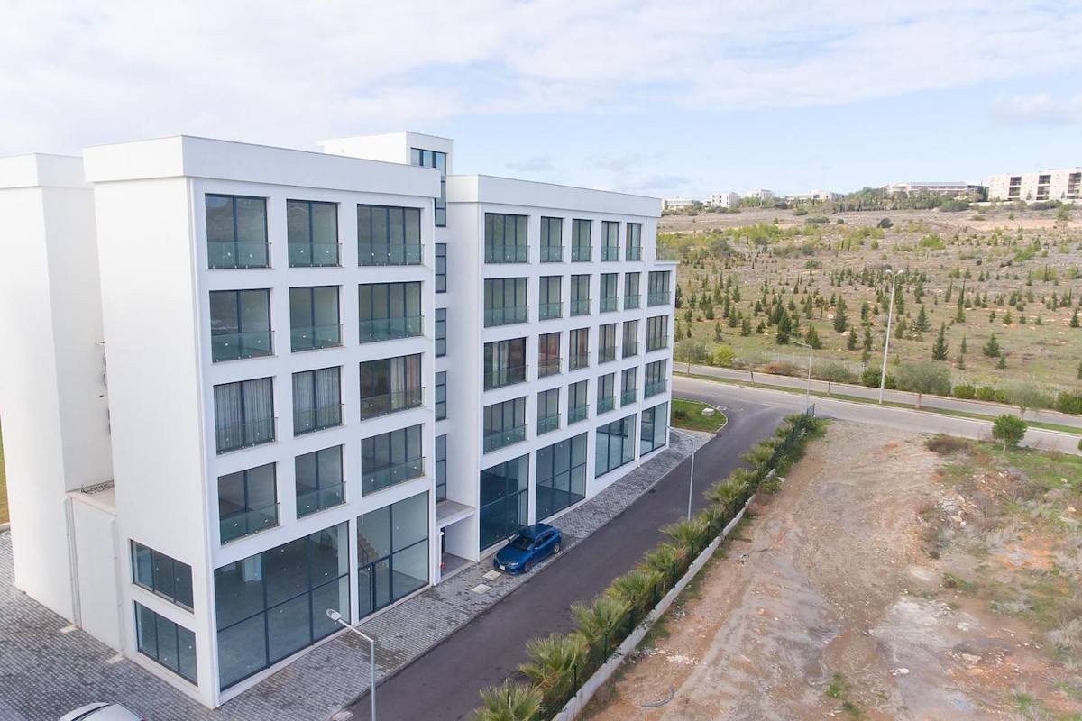 1 Room Commercial Property Lemon-F0-5+6