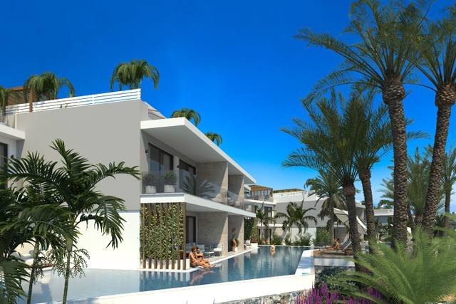 1 Bedroom Penthouse